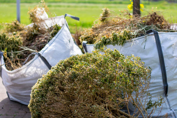 Shed Removal in Eastern Goleta Valley, CA